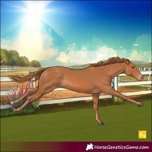 Horse Color:Chestnut Varnish Rabicano
