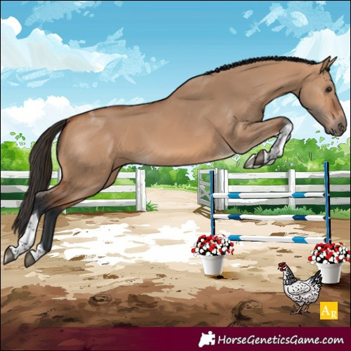 Horse Color:Bay Dun Tobiano 