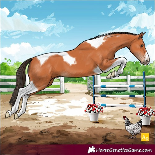 Horse Color:Bay Tobiano 