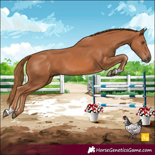 Horse Color:Chestnut 