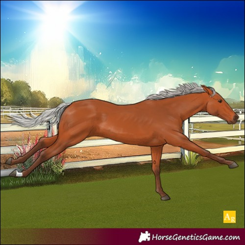 Horse Color:Silver Bay