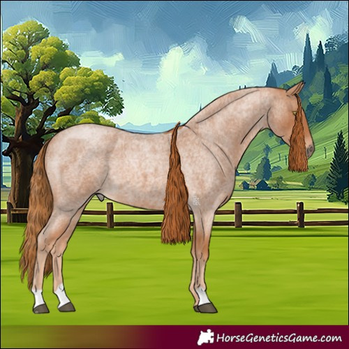 Horse Color:Red Roan
