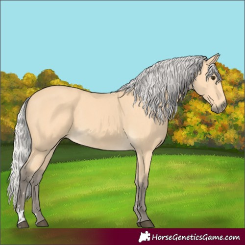 Horse Color:Silver Buckskin 