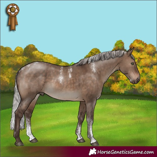 Horse Color:Powder White Silver Brown Dun Brindle 