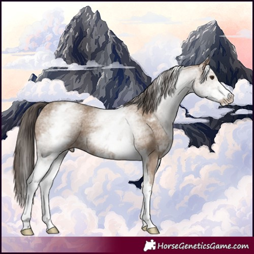 Horse Color:White Spotted Classic Champagne
