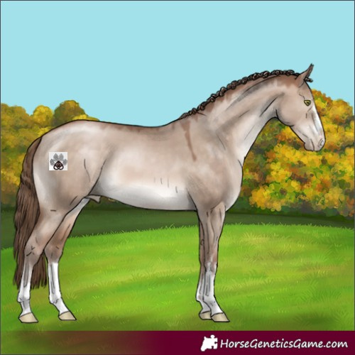 Horse Color:Brown Pearl Dun Mushroom
