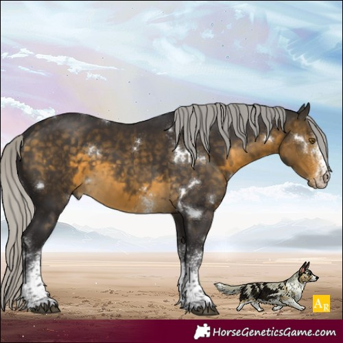 Horse Color:White Spotted Silver Buckskin 