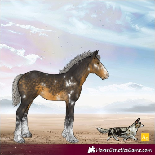 Horse Color:White Spotted Silver Buckskin 