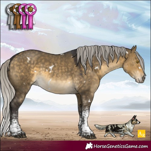 Horse Color:White Spotted Silver Buckskin Dun Rabicano