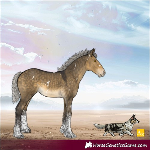 Horse Color:White Spotted Silver Buckskin Dun Rabicano 