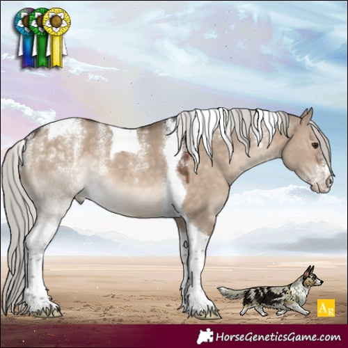 Horse Color:Powder White Silver Brown Dun Tobiano 