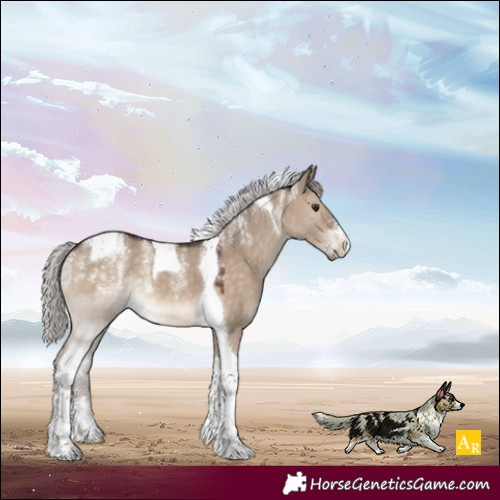 Horse Color:Powder White Silver Brown Dun Tobiano 