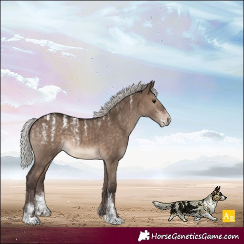 Horse Color:Powder White Silver Brown Dun 