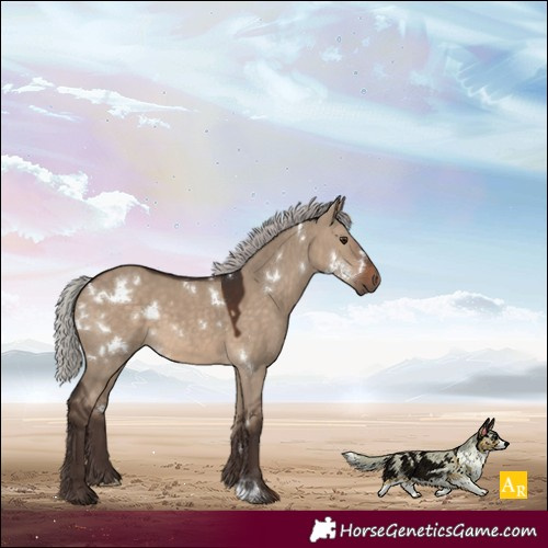 Horse Color:White Spotted Silver Brown Dun