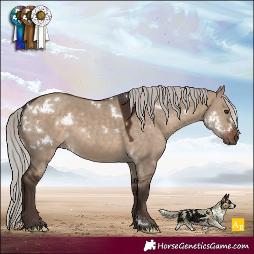 Horse Color:White Spotted Silver Brown Dun 