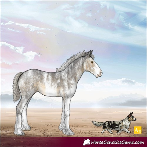 Horse Color:Powder White White Spotted Silver Buckskin Rabicano 