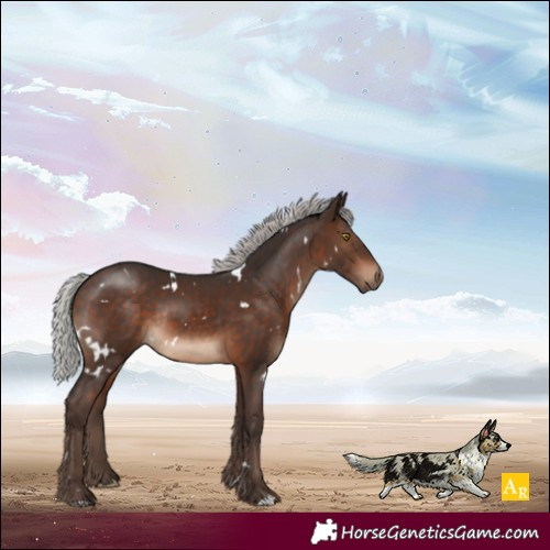 Horse Color:White Spotted Silver Brown Rabicano