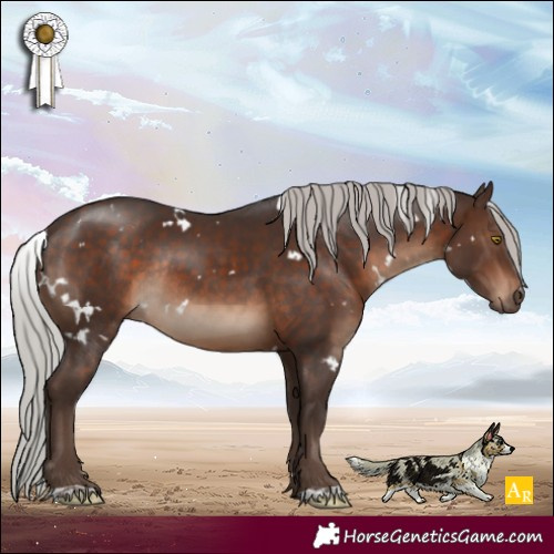 Horse Color:White Spotted Silver Brown Rabicano 