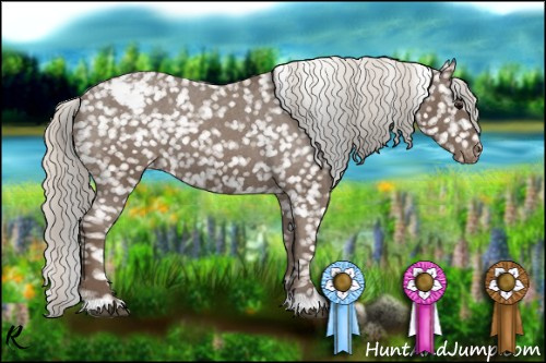 Horse Color:Silver Blue Roan Snowflake Varnish