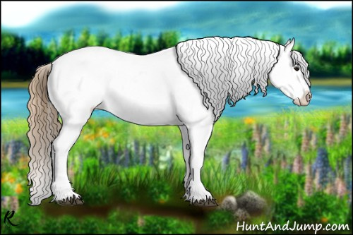 Horse Color:Buckskin Roan Snowflake Varnish