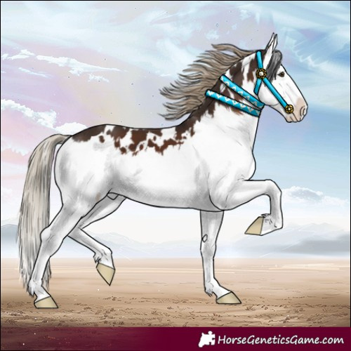 Horse Color:White Spotted Liver Chestnut Splash 