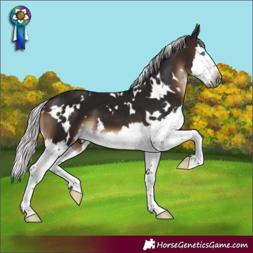 Horse Color:Gray White Spotted Silver Brown Mushroom Splash 