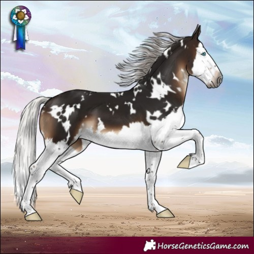 Horse Color:Gray White Spotted Silver Brown Mushroom Splash 