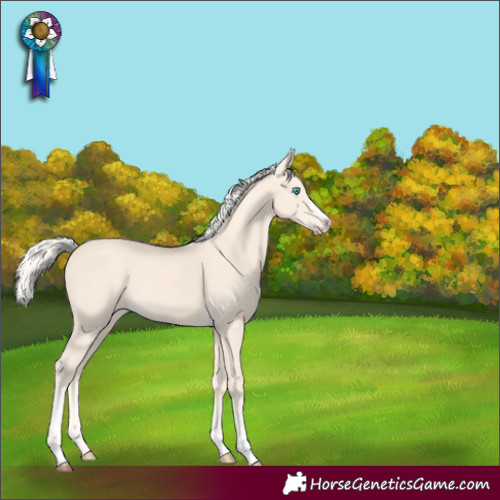 Horse Color:Cremello 