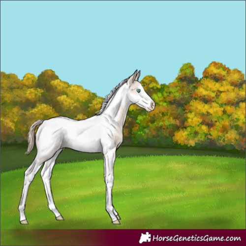 Horse Color:Smoky Creme Tobiano Frame 