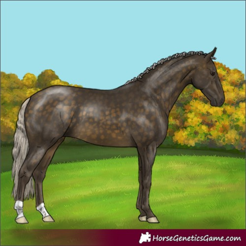 Horse Color:Silver Buckskin