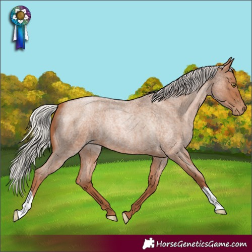 Horse Color:Silver Brown Roan Pearl