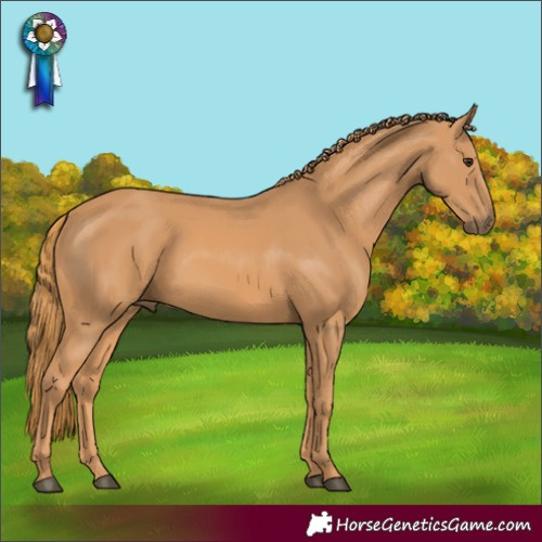 Horse Color:Chestnut Rabicano 