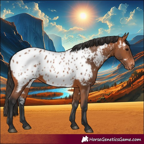 Horse Color:Bay Near Leopard
