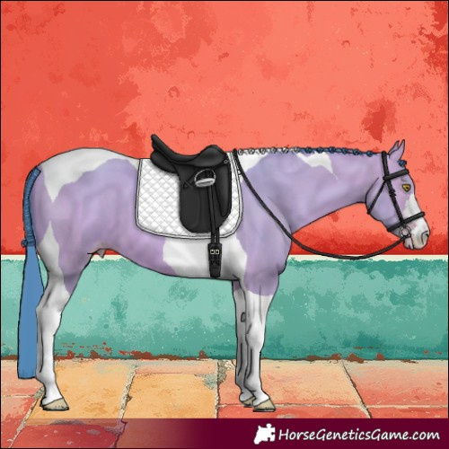 Horse Color:Watercolor Amber Champagne Tobiano 