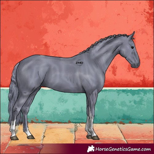 Horse Color:Watercolor Black Tobiano 