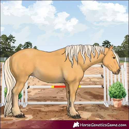 Horse Color:Palomino