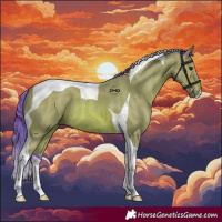 Horse Color:Watercolor Bay Tobiano