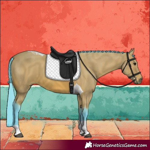 Horse Color:Watercolor Bay Tobiano 