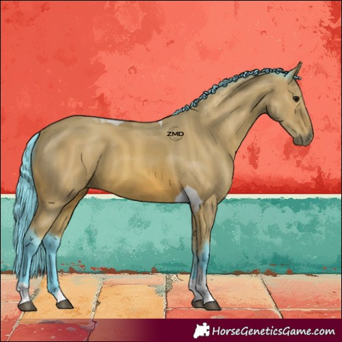 Horse Color:Watercolor Bay Tobiano 