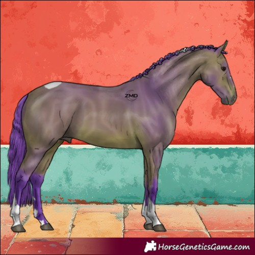 Horse Color:Watercolor Bay Tobiano