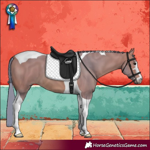 Horse Color:Watercolor Bay Tobiano 