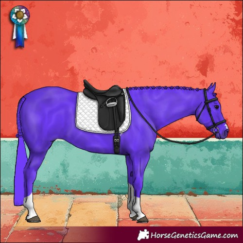 Horse Color:Watercolor Black Tobiano