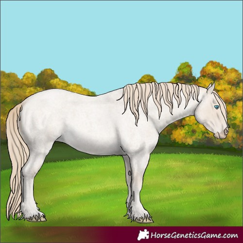 Horse Color:Smoky Creme Roan 