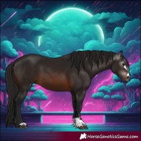 Horse Color:Gray Bay