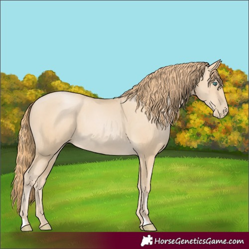 Horse Color:Smoky Black Pearl