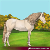 Horse Color:Smoky Black Pearl 