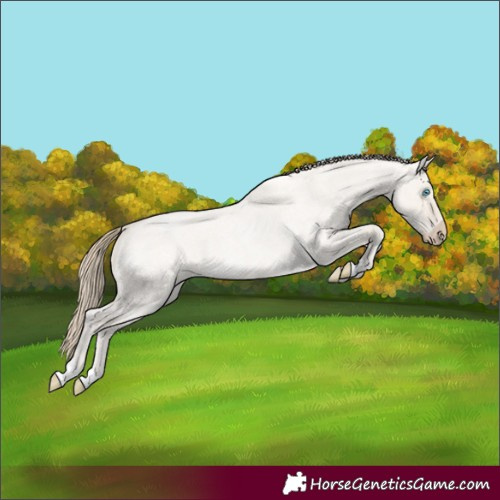 Horse Color:Smoky Creme Roan Dun