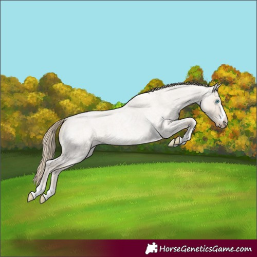 Horse Color:Smoky Creme Roan Dun 