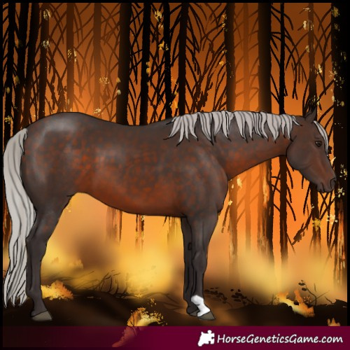 Horse Color:Silver Brown 