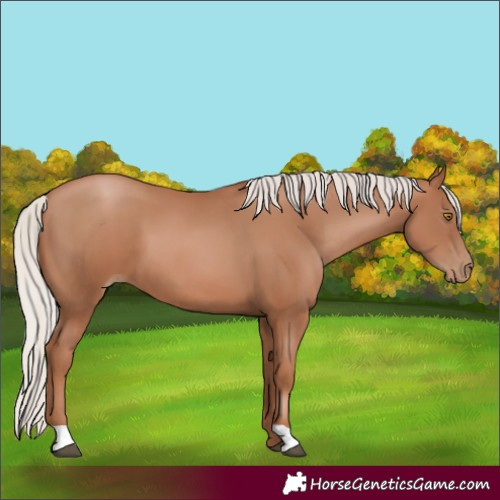 Horse Color:Silver Black Pearl 